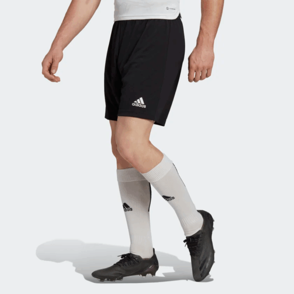 Short Adidas Training Entry 22 Homme - Image 2