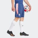 Short Olympique Lyonnais Training Homme 2023/24 Bleu