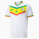 Maillot Sénégal Domicile Homme 2023 ( Fédération Sénégalaise de Football )