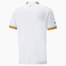 Maillot Sénégal Domicile Homme 2023 ( Fédération Sénégalaise de Football )