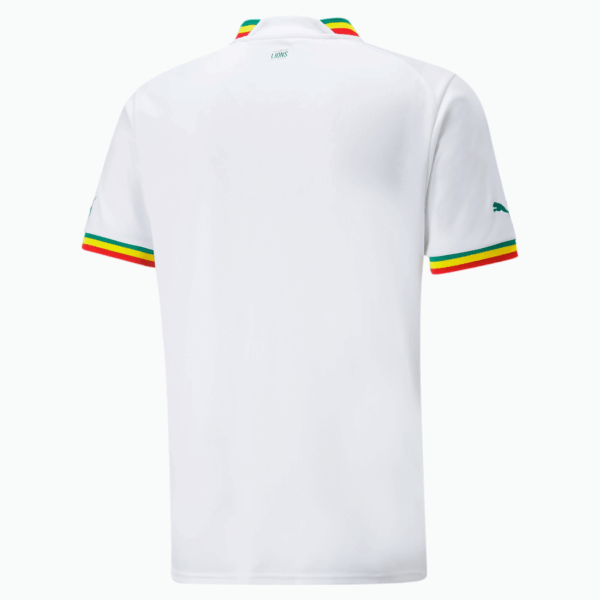 Maillot Sénégal Domicile Homme 2023 ( Fédération Sénégalaise de Football ) - Image 2