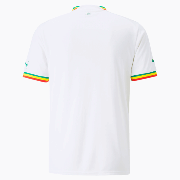Maillot Sénégal Domicile Homme 2023 ( Fédération Sénégalaise de Football ) - Image 3