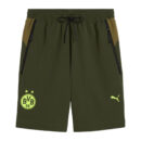 Short Borussia Dortmund PumaTech Homme 2024/25 Vert