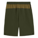 Short Borussia Dortmund PumaTech Homme 2024/25 Vert