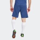 Short Olympique Lyonnais Training Homme 2023/24 Bleu
