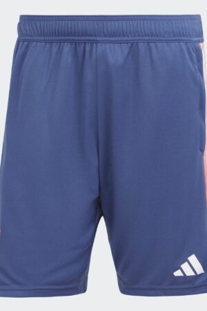 Short Olympique Lyonnais Training Homme 2023/24 Bleu