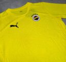 Maillot Fenerbahçe SK Training 2024/25 Jaune