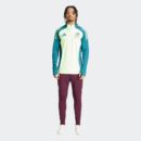 Top Mexique Training Tiro 24 Competition Homme 2024/25 Vert