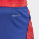 Short Espagne Training Tiro 24 Competition Homme 2024/25 Bleu