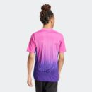 Maillot Allemagne Extérieur Homme 2024/25 Rose