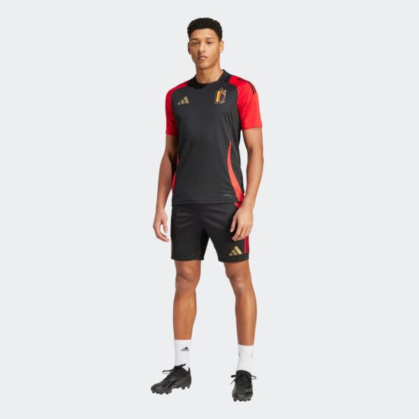 Short Belgique Training Tiro 24 Competition Homme 2024/25 Bleu - Image 7