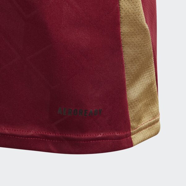 Maillot Belgique Domicile Junior 2024/25 Rouge - Image 5