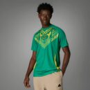 Maillot Jamaïque Pre-match Homme 2024/25 Vert