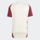 Maillot Bayern Munich Training Tiro 24 Homme 2024/25 Beige