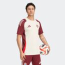 Maillot Bayern Munich Training Tiro 24 Homme 2024/25 Beige