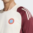 Maillot Bayern Munich Training Tiro 24 Homme 2024/25 Beige