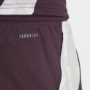 Short Bayern Munich Training Tiro 24 Homme 2024/25 Rouge