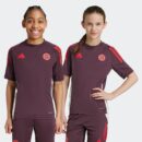 Maillot Bayern Munich Training Tiro 24 Junior 2024/25 Rouge