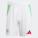 Short Algérie Domicile Homme 2024/25 Vert