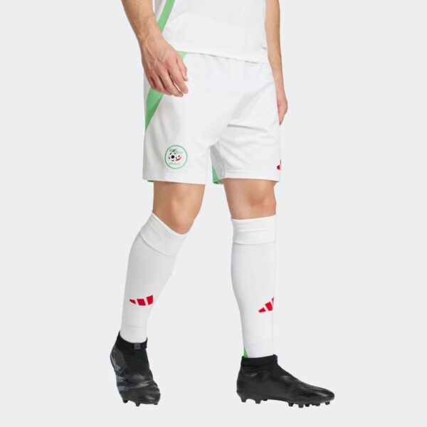 Short Algérie Domicile Homme 2024/25 Vert - Image 2