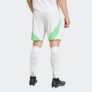 Short Algérie Domicile Homme 2024/25 Vert