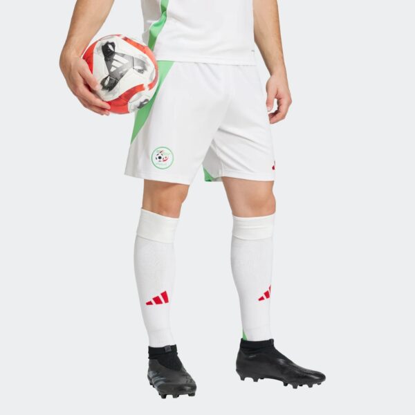 Short Algérie Domicile Homme 2024/25 Vert - Image 6