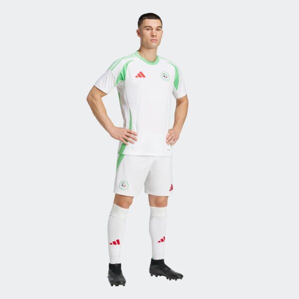 Short Algérie Domicile Homme 2024/25 Vert - Image 7