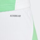 Short Algérie Domicile Homme 2024/25 Vert