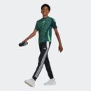 Maillot Algérie Extérieur Junior 2024/25 Vert