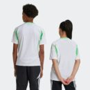 Maillot Algérie Domicile Junior 2024/25 Blanc