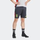 Short Benfica Training Tiro 24 Homme 2024/25 Gris