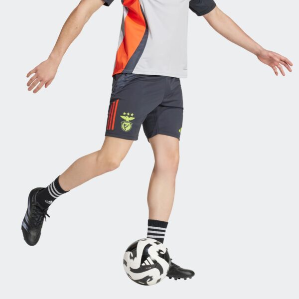 Short Benfica Training Tiro 24 Homme 2024/25 Gris - Image 6