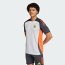 Maillot Benfica Training Tiro 24 Homme 2024/25 Gris
