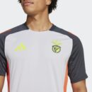 Maillot Benfica Training Tiro 24 Homme 2024/25 Gris