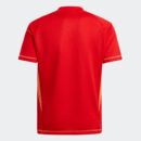 Maillot Juventus Turin Domicile Gardien 2024/25 Rouge