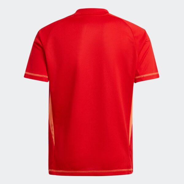Maillot Juventus Turin Domicile Gardien 2024/25 Rouge - Image 5