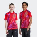 Maillot Juventus Turin Domicile Gardien 2024/25 Rouge