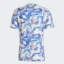 Maillot Olympique Lyonnais Pre-match Homme 2024/25 Blanc