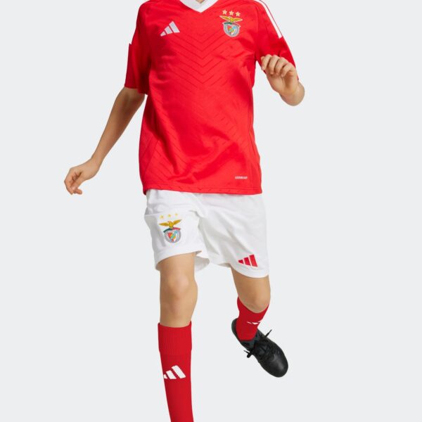 Short Benfica Domicile Junior 2024/25 Blanc - Image 2