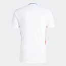 Maillot Olympique Lyonnais Domicile Homme 2024/25 Blanc