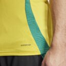 Maillot Jamaïque Domicile Homme 2024/25 Jaune