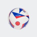 Ballon Olympique Lyonnais Domicile Club 2024/25 Blanc