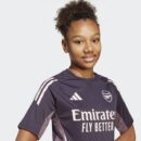 Maillot Arsenal Training Tiro 24 Junior 2024/25 Rosé