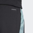 Pantalon Bayern Munich Training Tiro 24 Homme 2024/25 Noir