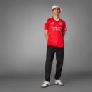 Maillot Benfica Domicile Homme 2024/25 Rouge