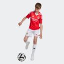 Maillot Benfica Domicile Junior 2024/25 Rouge