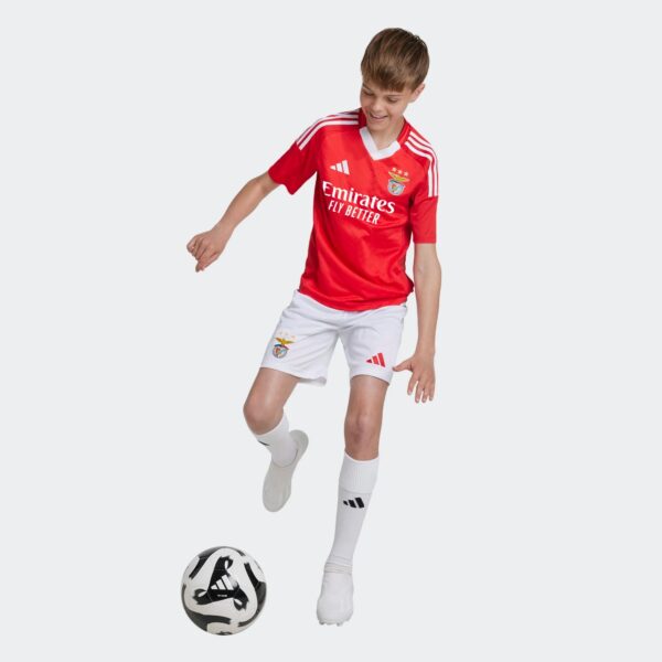 Maillot Benfica Domicile Junior 2024/25 Rouge - Image 4