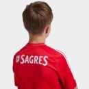Maillot Benfica Domicile Junior 2024/25 Rouge