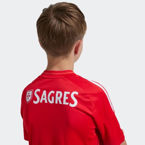 Maillot Benfica Domicile Junior 2024/25 Rouge - Image 5