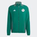 Veste Algérie Pre-match Tiro 24 Homme 2024/25 Vert